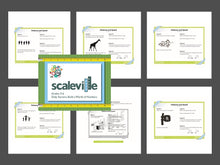 Load image into Gallery viewer, Handouts from gr 5-6 Scaleville Activity Guides
