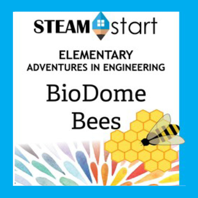 STEAMstart BioDome Bees Activities Download